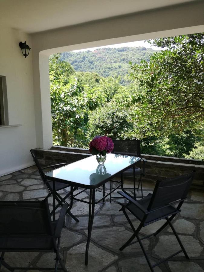 House In The Forest Τσαγκαράδα Εξωτερικό φωτογραφία