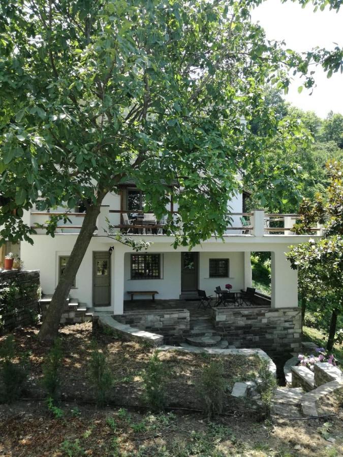House In The Forest Τσαγκαράδα Εξωτερικό φωτογραφία
